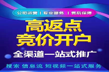 专业SEM代运营托管公司案例分析